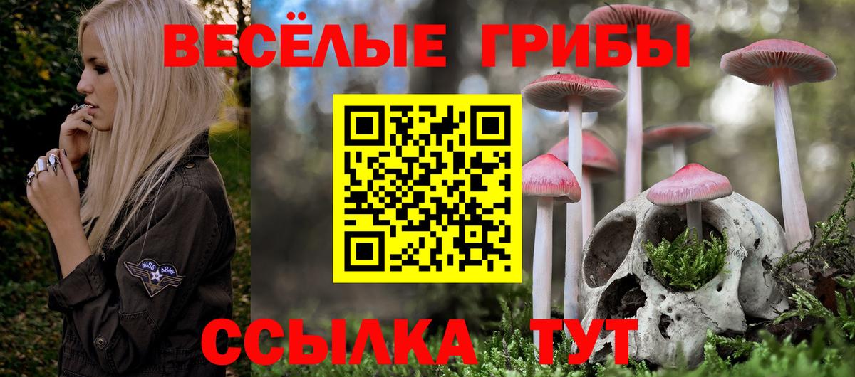 Галлюциногенные грибы GOLDEN TEACHER  Псилоцибиновые грибы Psilocybe  Екатеринбург  Вход с VPN 