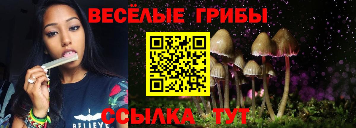 Галлюциногенные грибы GOLDEN TEACHER Екатеринбург
